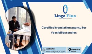 Certified translation agency for feasibility studies