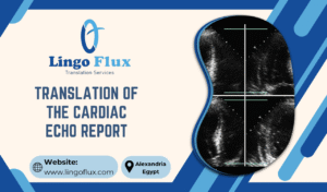 Translation of the Cardiac Echo Report